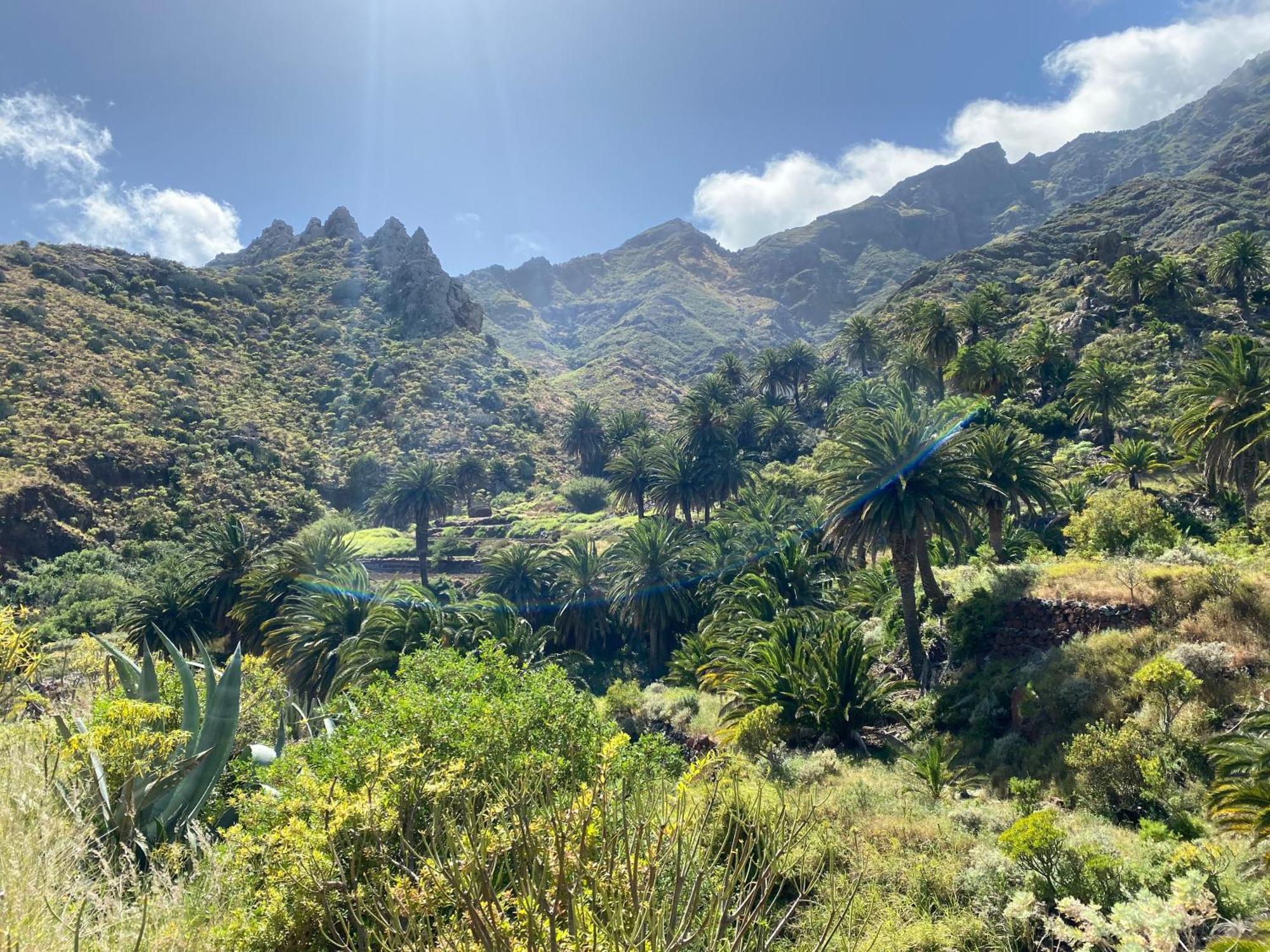 Biofinca Casa El Riego Güimar Exteriér fotografie